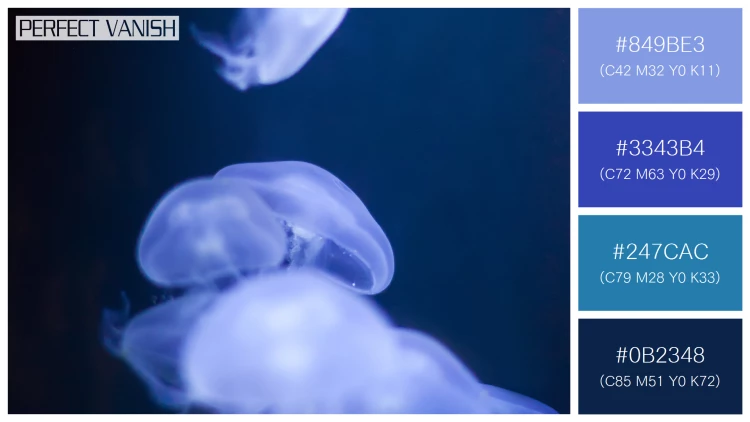 透明感漂うクラゲの無料配色パターン 4色 フリー jellyfish water