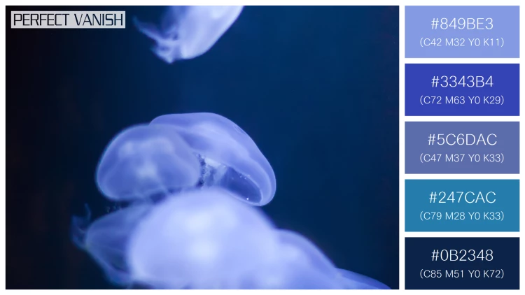 透明感漂うクラゲの無料配色パターン 5色 フリー jellyfish water