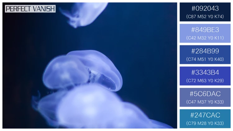 透明感漂うクラゲの無料配色パターン 6色 フリー jellyfish water