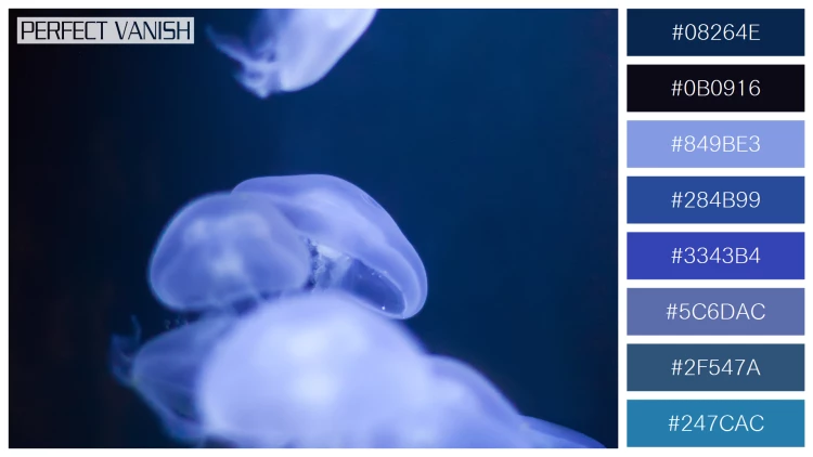 透明感漂うクラゲの無料配色パターン 8色 フリー jellyfish water
