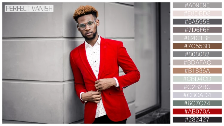 スタイリッシュな男性モデルの無料配色パターン 15色 フリー african american man