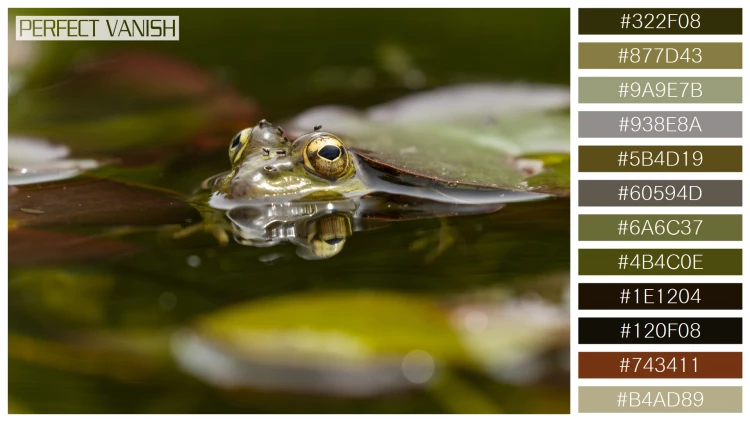 カエルの無料配色パターン 12 フリー selective shot frog