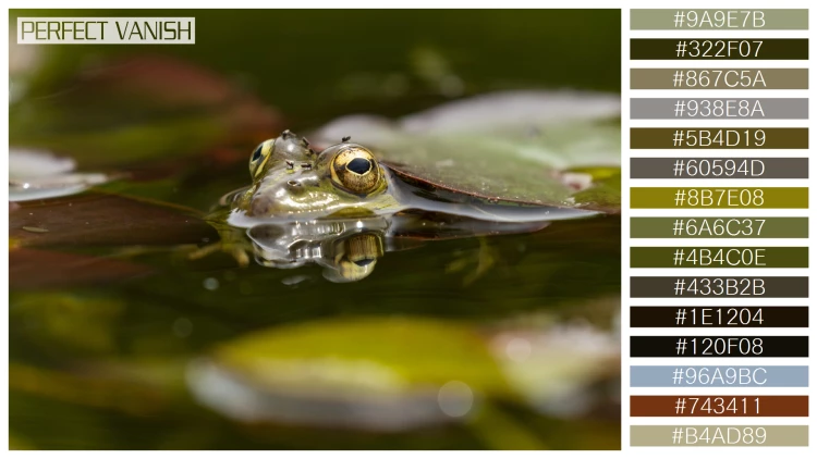 カエルの無料配色パターン 15 フリー selective shot frog