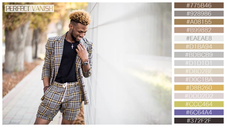 スタイリッシュな男性モデルの無料配色パターン 15色 フリー african man