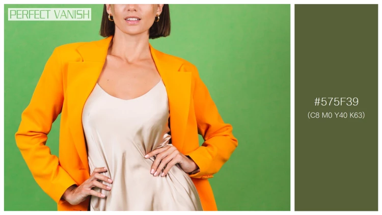 ファッショナブルな女性モデルの無料配色パターン 1色 フリー stylish woman silk