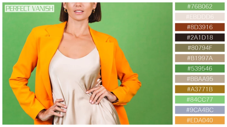 ファッショナブルな女性モデルの無料配色パターン 12色 フリー stylish woman silk