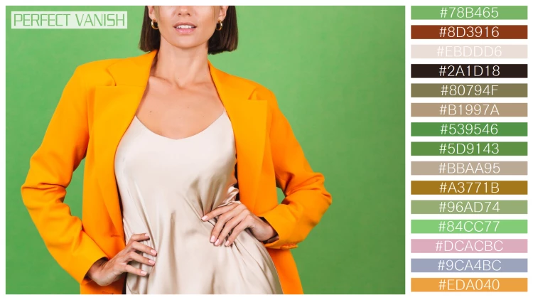 ファッショナブルな女性モデルの無料配色パターン 15色 フリー stylish woman silk