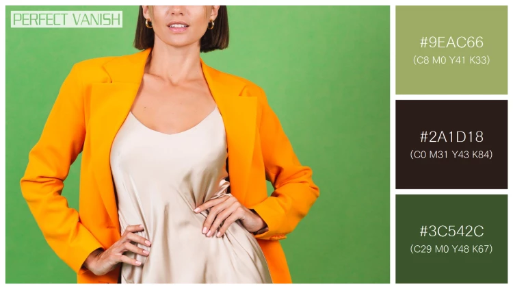 ファッショナブルな女性モデルの無料配色パターン 3色 フリー stylish woman silk