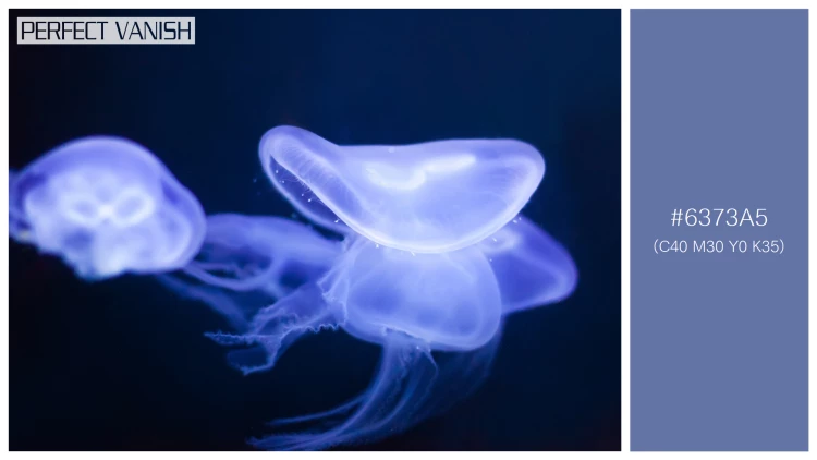透明感漂うクラゲの無料配色パターン 1色 フリー jellyfish deep dark