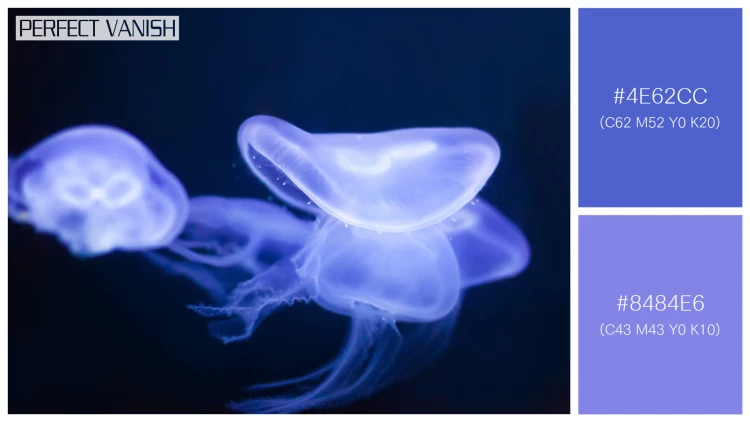 透明感漂うクラゲの無料配色パターン 2色 フリー jellyfish deep dark