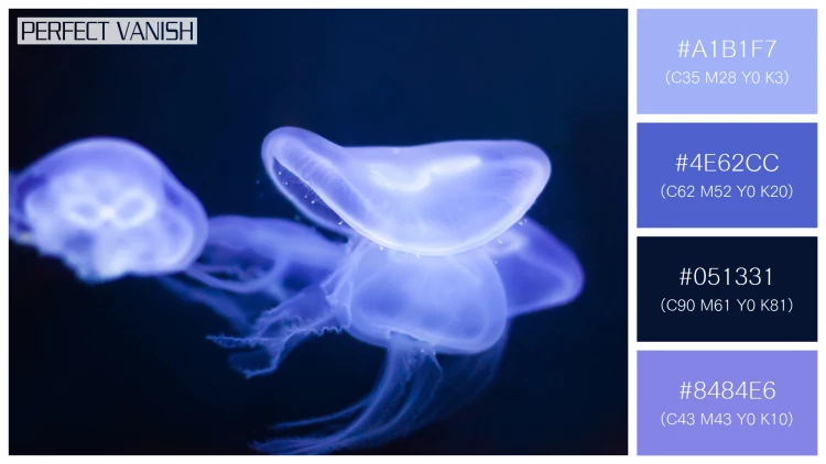 透明感漂うクラゲの無料配色パターン 4色 フリー jellyfish deep dark