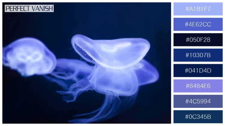 透明感漂うクラゲの無料配色パターン 8色 フリー jellyfish deep dark