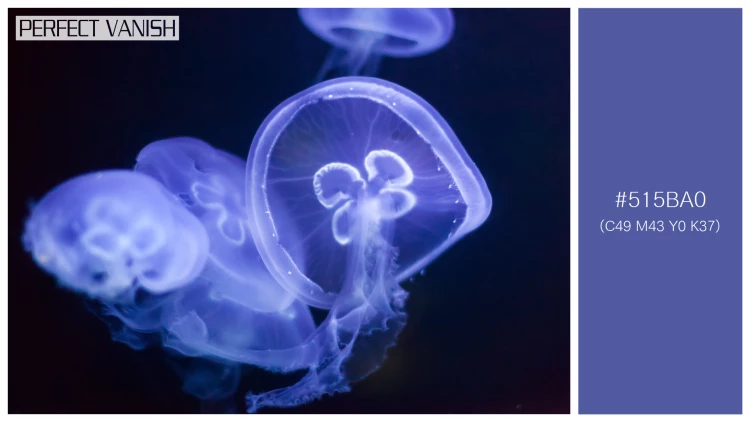 透明感漂うクラゲの無料配色パターン 1色 フリー jellyfish deep dark