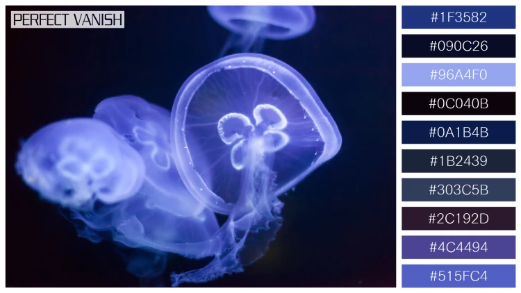 透明感漂うクラゲの無料配色パターン 10色 フリー jellyfish deep dark