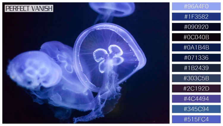 透明感漂うクラゲの無料配色パターン 12色 フリー jellyfish deep dark