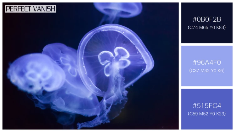 透明感漂うクラゲの無料配色パターン 3色 フリー jellyfish deep dark