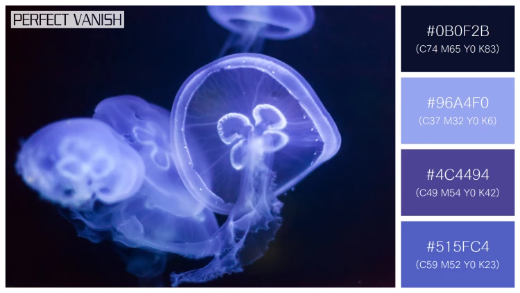 透明感漂うクラゲの無料配色パターン 4色 フリー jellyfish deep dark