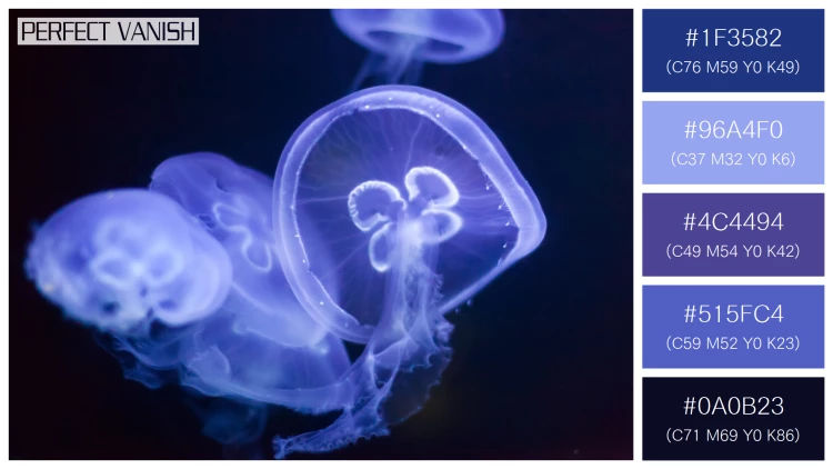透明感漂うクラゲの無料配色パターン 5色 フリー jellyfish deep dark