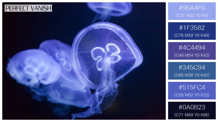 透明感漂うクラゲの無料配色パターン 6色 フリー jellyfish deep dark