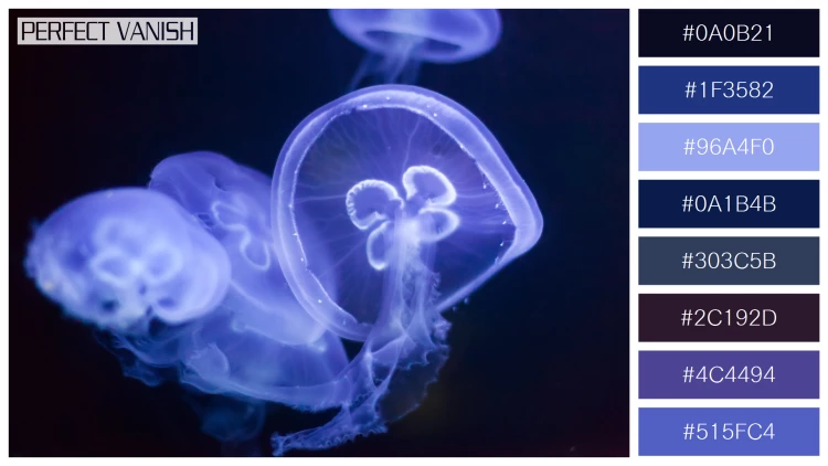 透明感漂うクラゲの無料配色パターン 8色 フリー jellyfish deep dark