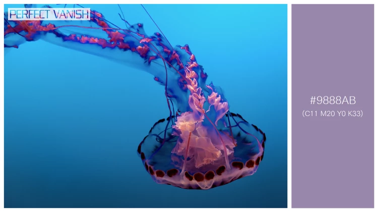 透明感漂うクラゲの無料配色パターン 1色 フリー beautiful jellyfish water