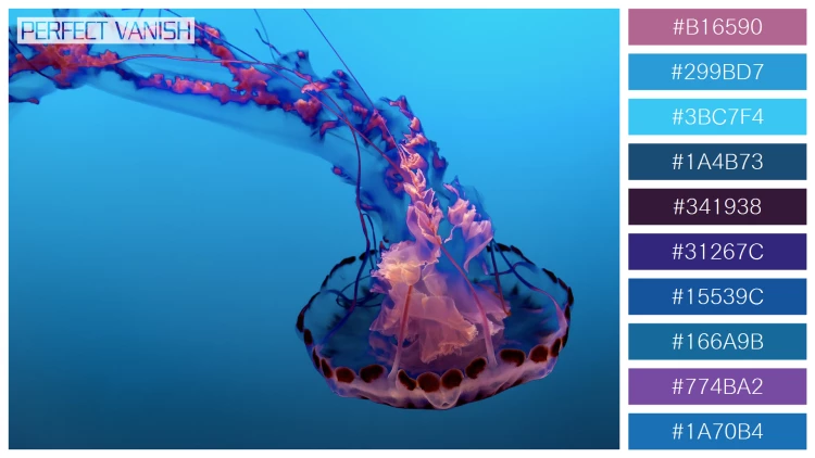 透明感漂うクラゲの無料配色パターン 10色 フリー beautiful jellyfish water