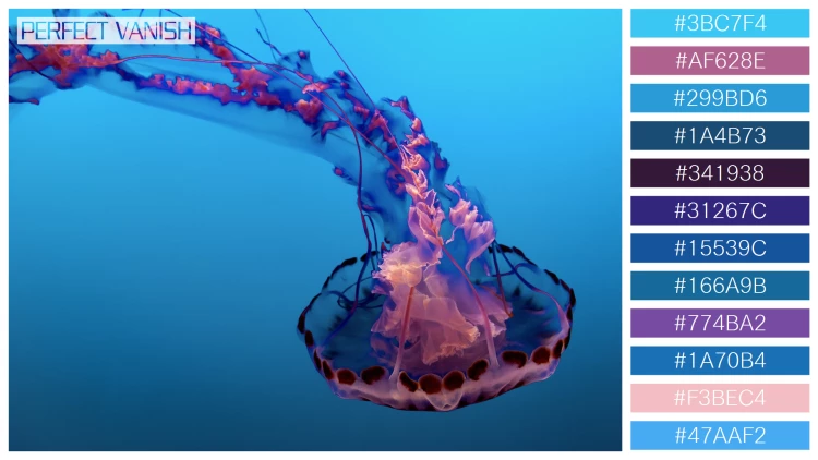 透明感漂うクラゲの無料配色パターン 12色 フリー beautiful jellyfish water