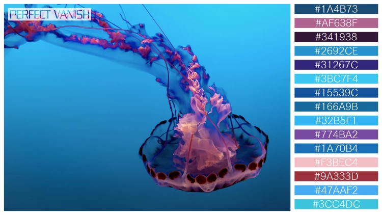 透明感漂うクラゲの無料配色パターン 15色 フリー beautiful jellyfish water