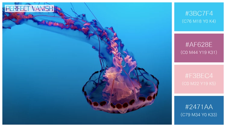 透明感漂うクラゲの無料配色パターン 4色 フリー beautiful jellyfish water