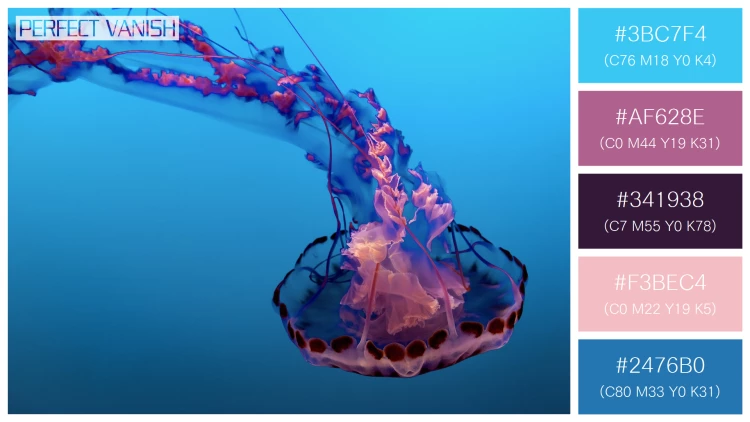 透明感漂うクラゲの無料配色パターン 5色 フリー beautiful jellyfish water