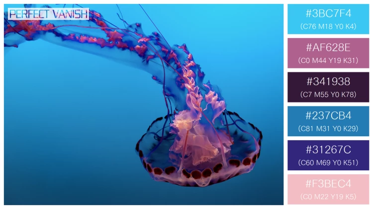透明感漂うクラゲの無料配色パターン 6色 フリー beautiful jellyfish water