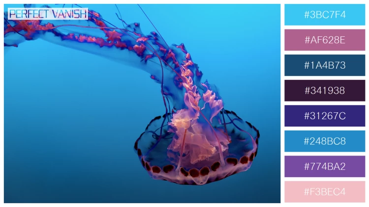透明感漂うクラゲの無料配色パターン 8色 フリー beautiful jellyfish water