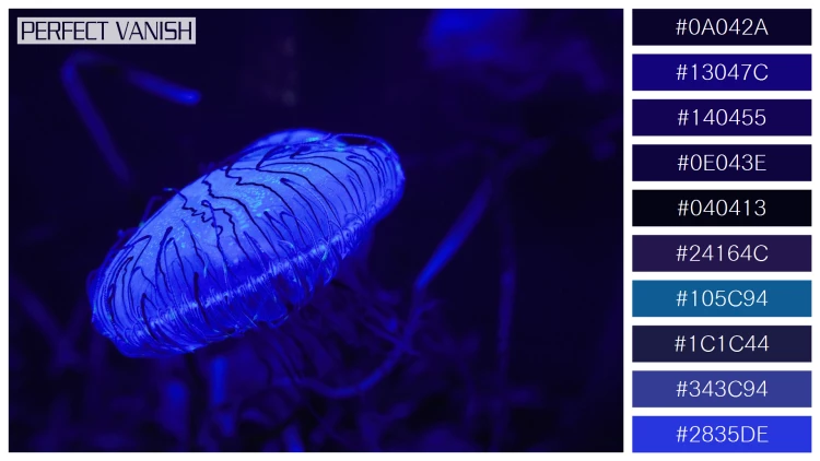 透明感漂うクラゲの無料配色パターン 10色 フリー closeup blue jellyfish