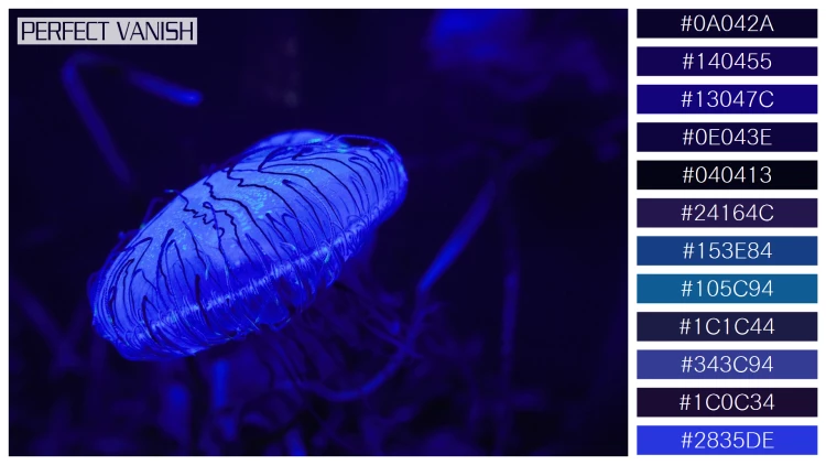 透明感漂うクラゲの無料配色パターン 12色 フリー closeup blue jellyfish