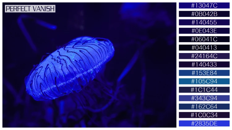 透明感漂うクラゲの無料配色パターン 15色 フリー closeup blue jellyfish