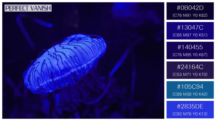 透明感漂うクラゲの無料配色パターン 6色 フリー closeup blue jellyfish