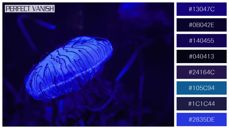 透明感漂うクラゲの無料配色パターン 8色 フリー closeup blue jellyfish