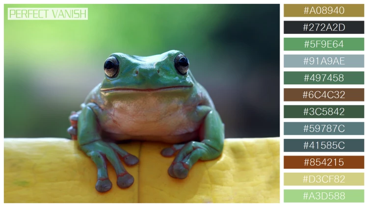 カエルの無料配色パターン 12 フリー dumpy frog sitting
