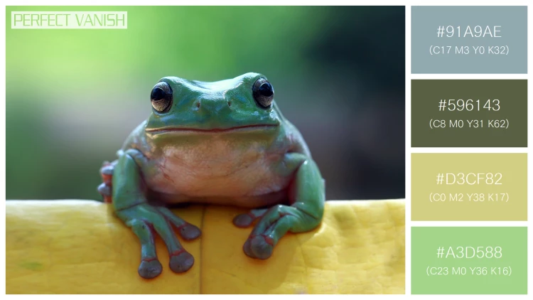 カエルの無料配色パターン 4 フリー dumpy frog sitting
