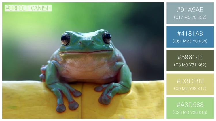 カエルの無料配色パターン 5 フリー dumpy frog sitting