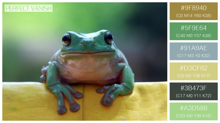 カエルの無料配色パターン 6 フリー dumpy frog sitting