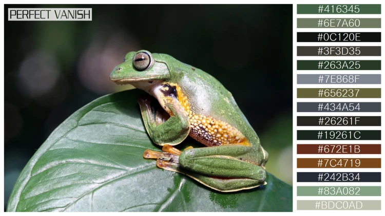 カエルの無料配色パターン 15 フリー javan tree frog