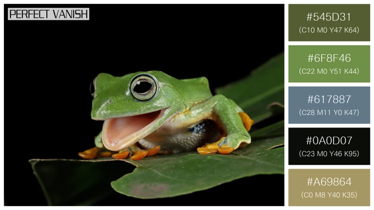 カエルの無料配色パターン 5 フリー javan tree frog