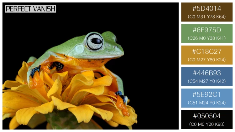 カエルの無料配色パターン 6 フリー javan tree frog