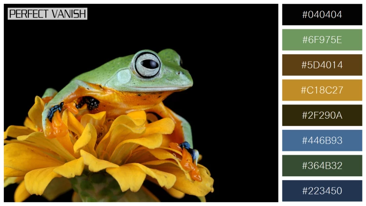 カエルの無料配色パターン 8 フリー javan tree frog