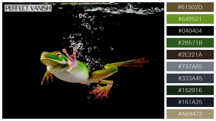 カエルの無料配色パターン 10 フリー whitelipped frog swimming