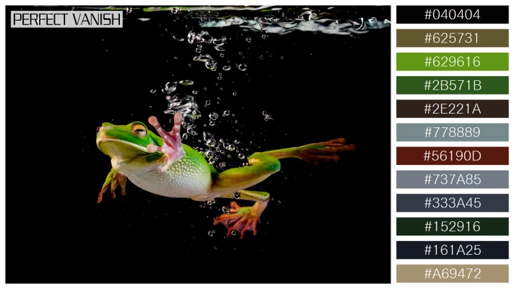 カエルの無料配色パターン 12 フリー whitelipped frog swimming