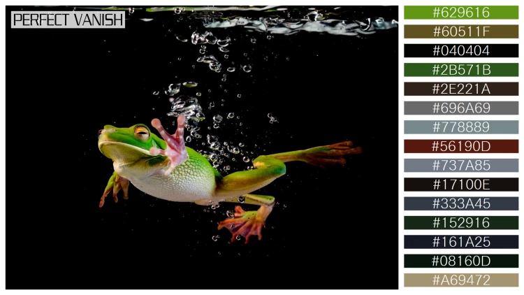 カエルの無料配色パターン 15 フリー whitelipped frog swimming