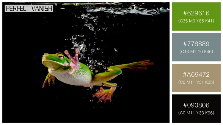 カエルの無料配色パターン 4 フリー whitelipped frog swimming