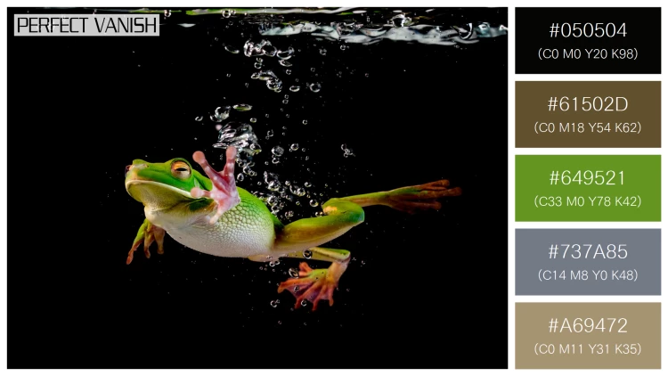 カエルの無料配色パターン 5 フリー whitelipped frog swimming